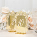 Mirror Arch Acrylic with Baroque Lace Border Table Numbers 1-10