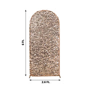 Sparkly Big Payette Sequin Fitted Chiara Backdrop Stand Cover