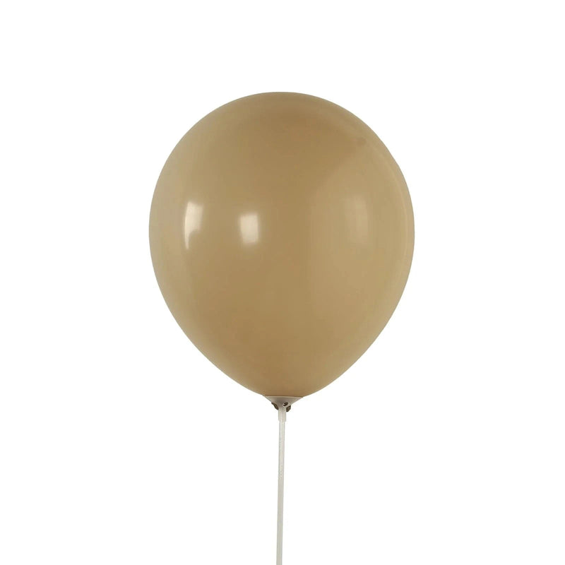 50 Matte Pastel Biodegradable Balloons