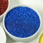 1 lb Jar Sparkly Extra Fine DIY Art Glitter