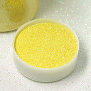 1 lb Jar Sparkly Extra Fine DIY Art Glitter