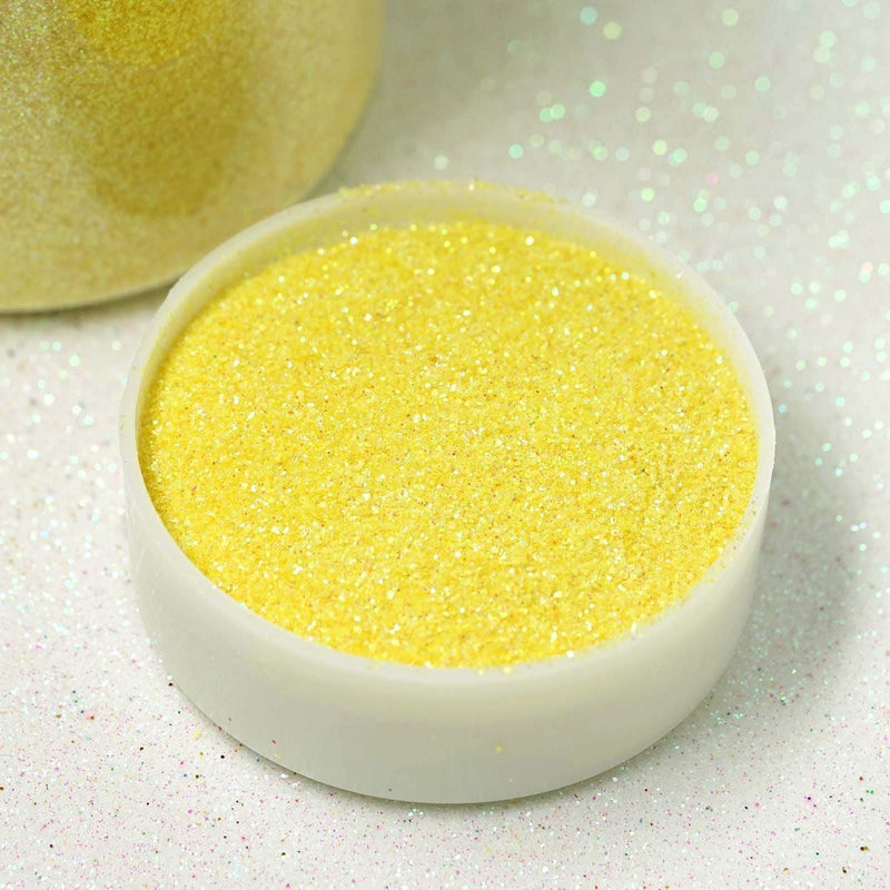1 lb Jar Sparkly Extra Fine DIY Art Glitter