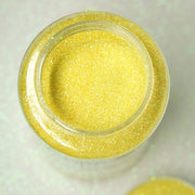 1 lb Jar Sparkly Extra Fine DIY Art Glitter