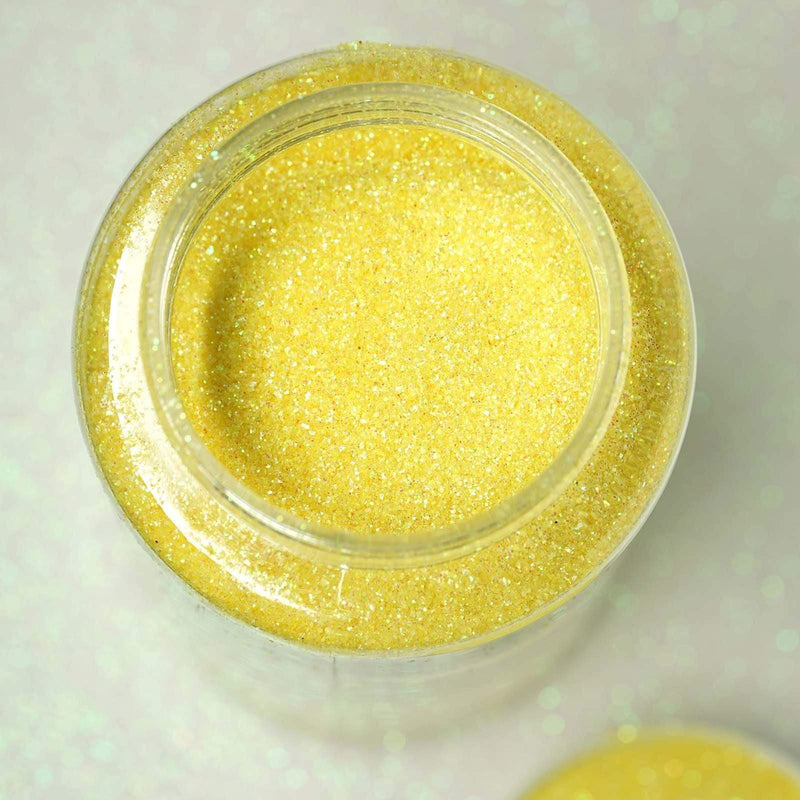 1 lb Jar Sparkly Extra Fine DIY Art Glitter