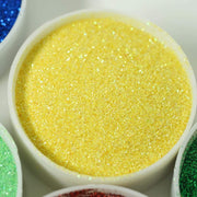 1 lb Jar Sparkly Extra Fine DIY Art Glitter
