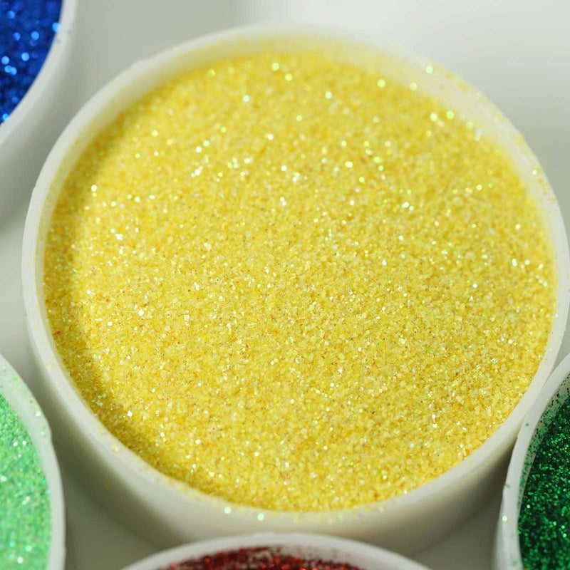 1 lb Jar Sparkly Extra Fine DIY Art Glitter