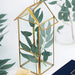 10.5" tall Geometric Glass Terrarium Vase with Metal Frame - Clear with Gold GLAS_VASE008_GOLD