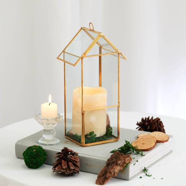 10.5" tall Geometric Glass Terrarium Vase with Metal Frame - Clear with Gold GLAS_VASE008_GOLD