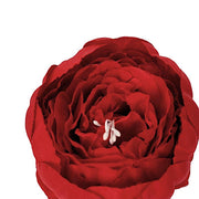 10 pcs 3" Faux Silk Peony Flower Heads