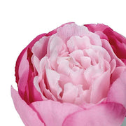 10 pcs 3" Faux Silk Peony Flower Heads