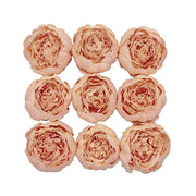 10 pcs 3" Faux Silk Peony Flower Heads ARTI_BOUQ_PEO07H_PCH
