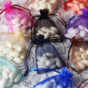 10 pcs 3x4" Sheer Organza Bags with Pull String