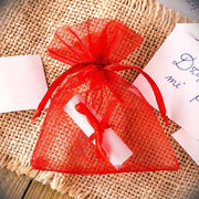 10 pcs 3x4" Sheer Organza Bags with Pull String