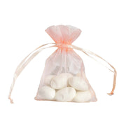 10 pcs 3x4" Sheer Organza Bags with Pull String BAG_3x4_046
