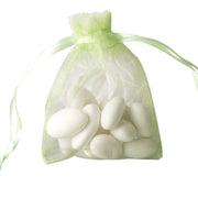 10 pcs 3x4" Sheer Organza Bags with Pull String BAG_3x4_MNT