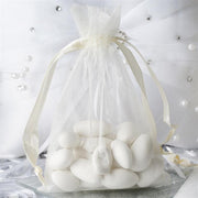 10 pcs 4x6" Sheer Organza Bags with Pull String