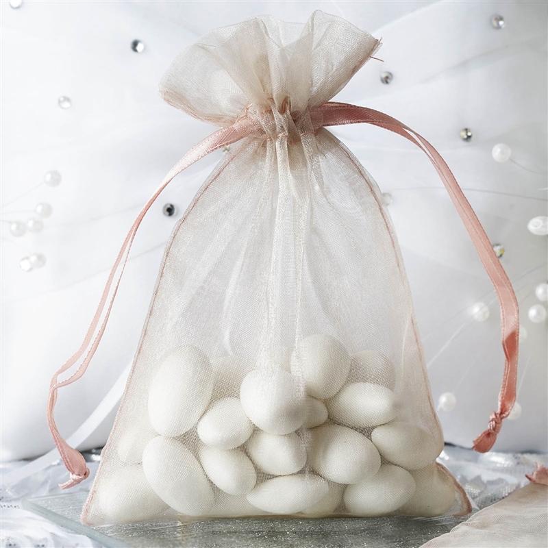10 pcs 4x6" Sheer Organza Bags with Pull String