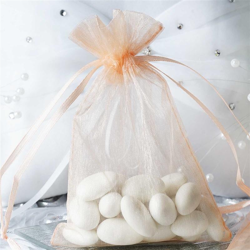 10 pcs 4x6" Sheer Organza Bags with Pull String