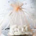 10 pcs 4x6" Sheer Organza Bags with Pull String
