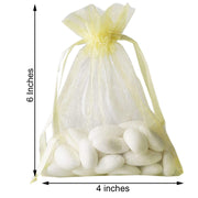 10 pcs 4x6" Sheer Organza Bags with Pull String
