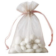 10 pcs 4x6" Sheer Organza Bags with Pull String BAG_4X6_MAUV