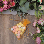 10 pcs 5x7" Sheer Organza Bags with Pull String