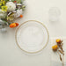 10 pcs 8" Plastic Dinner Plates With Beaded Rim - Disposable Tableware DSP_PLR4239_8_CLGD