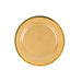10 Round Plastic Salad Plates with Gold Rim - Disposable Tableware DSP_PLR0012_10_GDGD