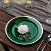 10 Round Plastic Salad Plates with Rim - Disposable Tableware
