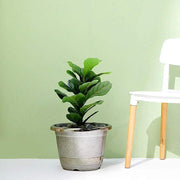 10" tall Round Plastic Flower Plant Pot with Metallic Barrel Design