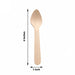 100 pcs 4" Natural Birchwood Spoons - Disposable Tableware BIRC_F028