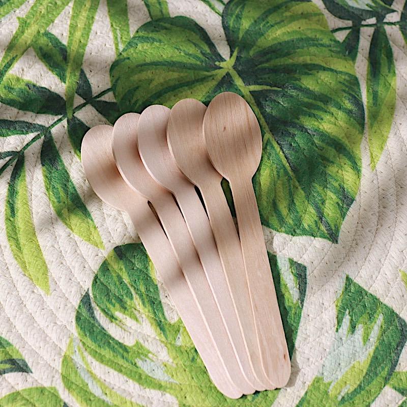 100 pcs Natural Birchwood Spoons - Disposable Tableware BIRC_F027