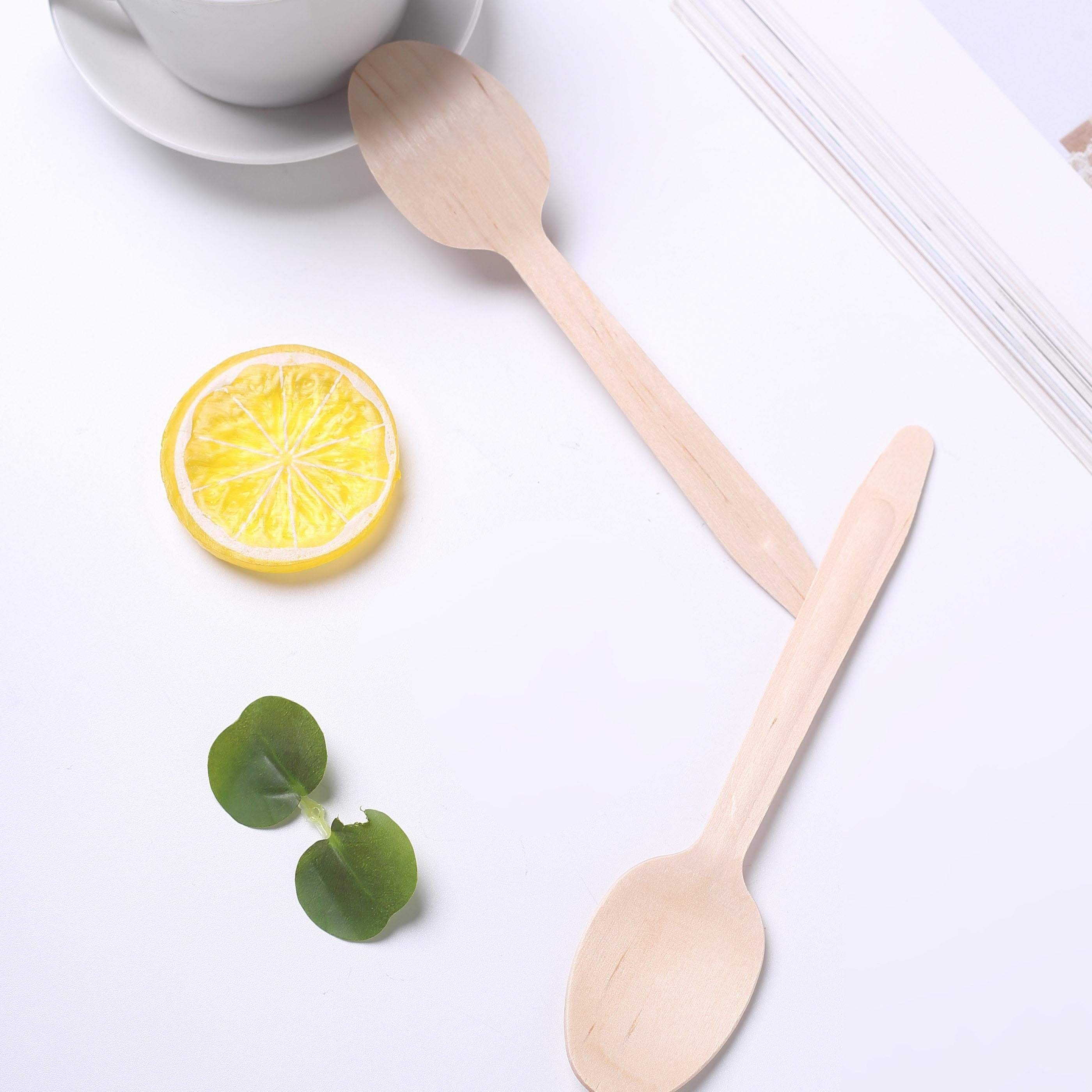 100 pcs Natural Birchwood Spoons - Disposable Tableware BIRC_F027