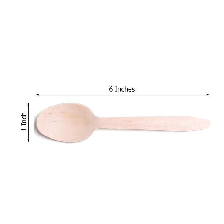 100 pcs Natural Birchwood Spoons - Disposable Tableware BIRC_F027
