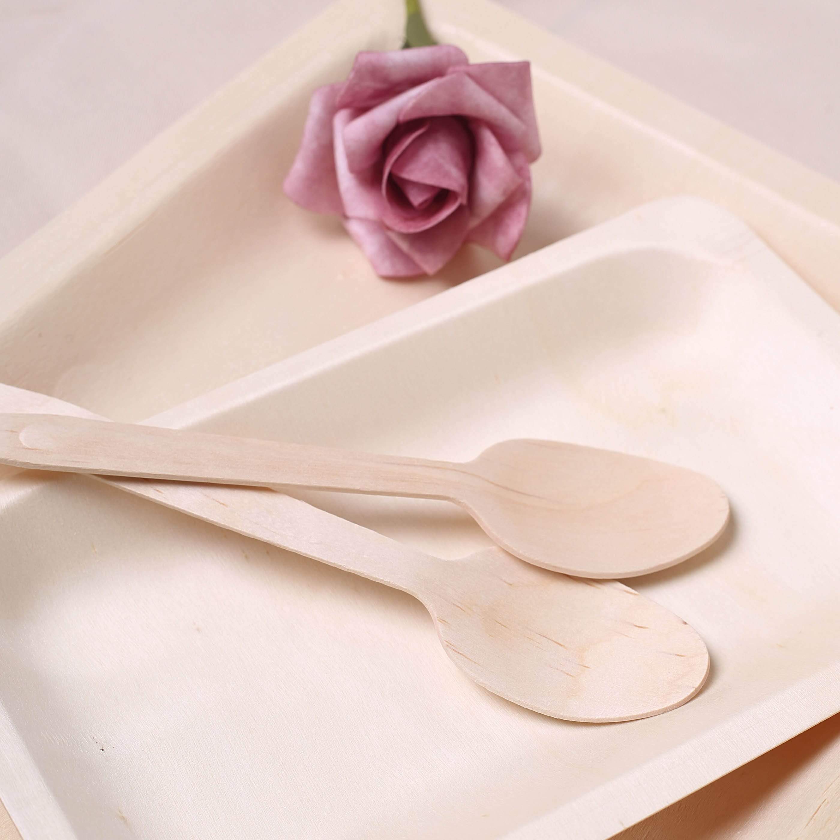 100 pcs Natural Birchwood Spoons - Disposable Tableware BIRC_F027