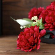 12 Chrysanthemum Mums Bushes