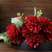 12 Chrysanthemum Mums Bushes