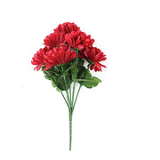 12 Chrysanthemum Mums Bushes
