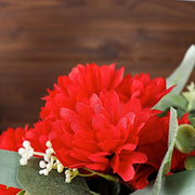 12 Chrysanthemum Mums Bushes