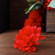 12 Chrysanthemum Mums Bushes