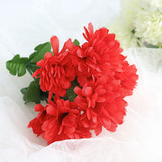 12 Chrysanthemum Mums Bushes