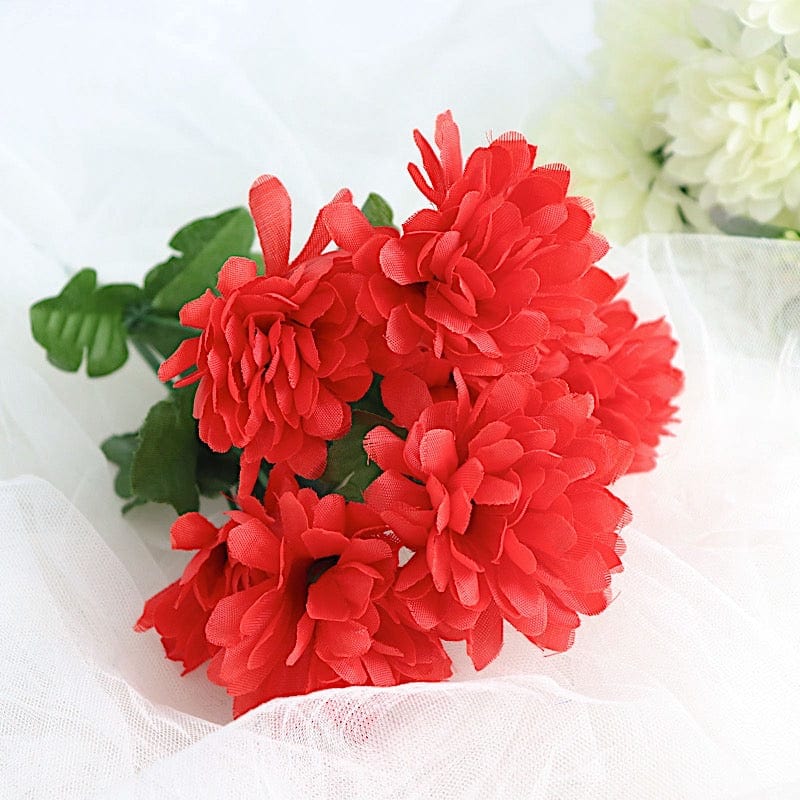 12 Chrysanthemum Mums Bushes