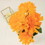 12 Chrysanthemum Mums Bushes