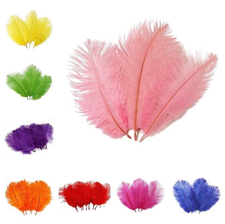 12 pcs 10-15" Authentic Ostrich Feathers