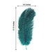 12 pcs 10-15" Authentic Ostrich Feathers - Teal