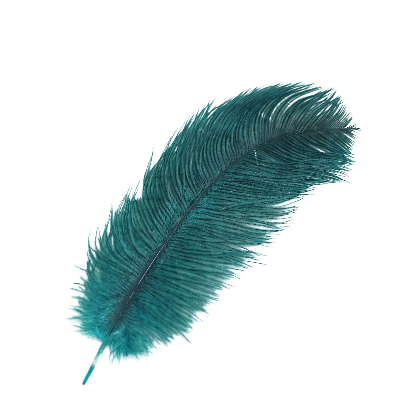 12 pcs 10-15" Authentic Ostrich Feathers