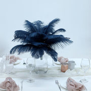 12 pcs 10-15" Authentic Ostrich Feathers