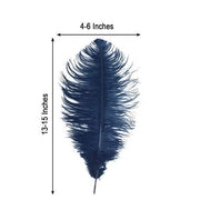 12 pcs 10-15" Authentic Ostrich Feathers