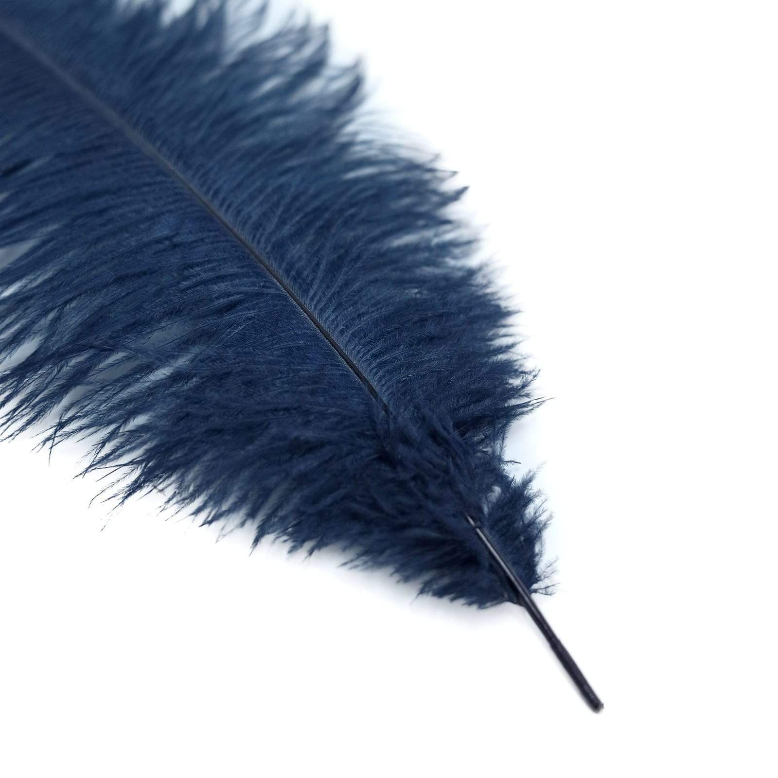 12 pcs 10-15" Authentic Ostrich Feathers