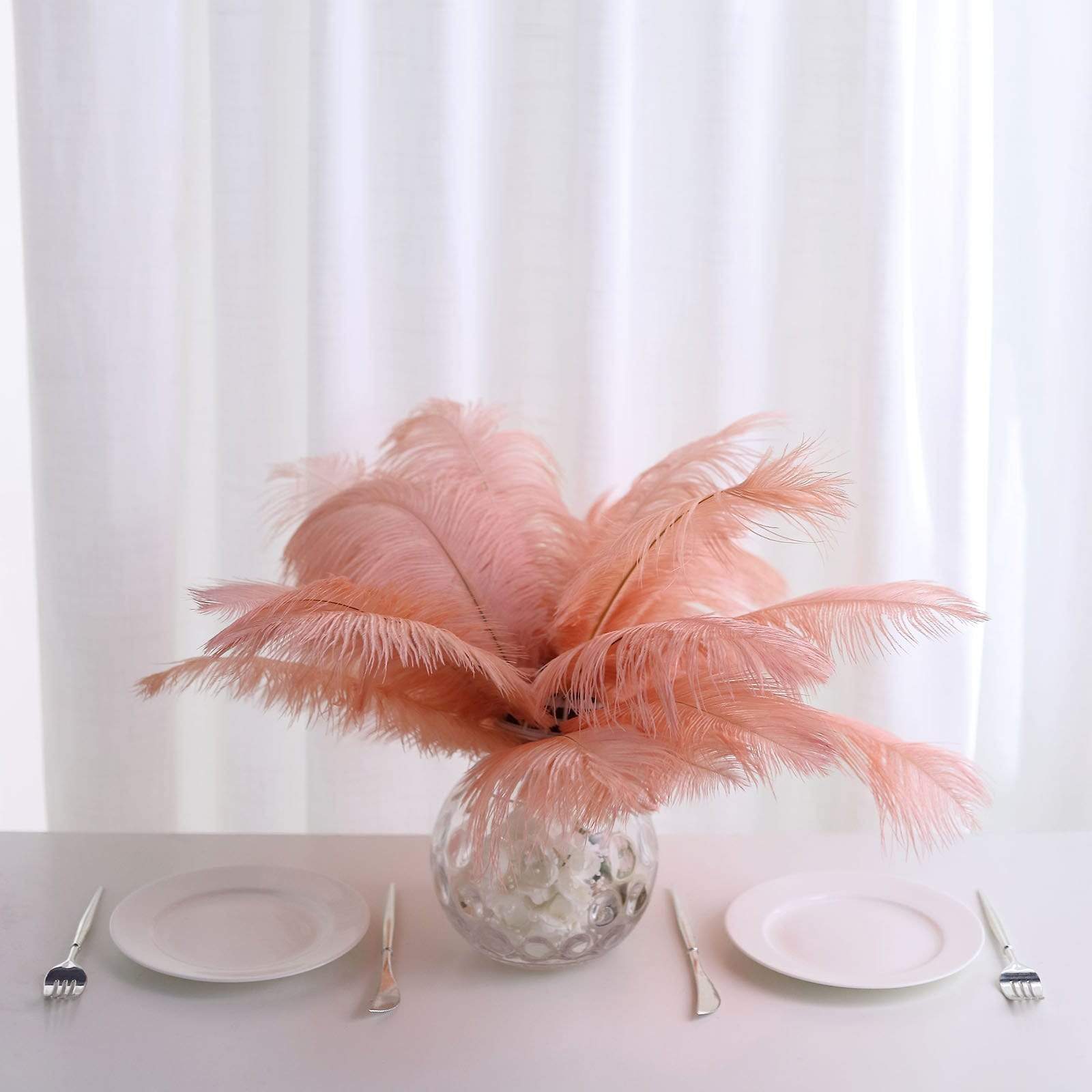 12 pcs 10-15" Authentic Ostrich Feathers